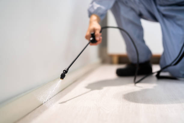 Licensed Pest Control service in River Falls, WI - Show Me Pest Control
